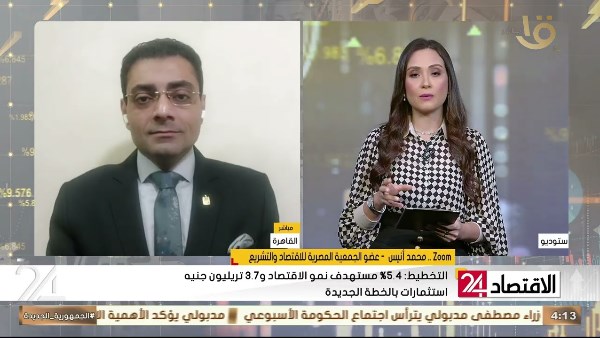 محمد أنيس: هيئة الرقابة المالية يجب أن تراقب التمويلات إلكترونيًا بصورة لحظية