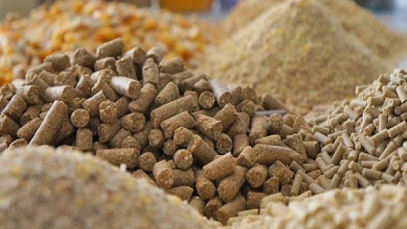 طن الصويا يرتفع 1100 جنيه، أسعار الأعلاف والحبوب اليوم في الأسواق