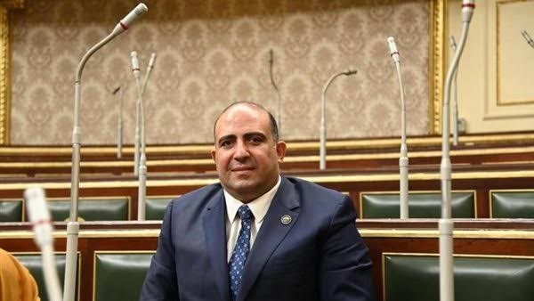 برلماني يطالب بخطة لإزالة معوقات وصول المنتج المصري إلى أفريقيا