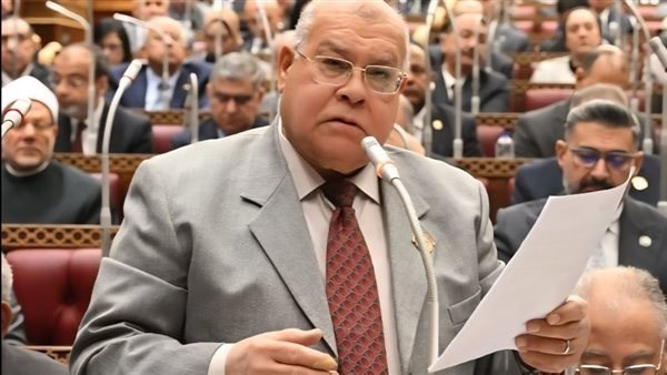 نائب: هناك اتجاهًا لدعم الصناعة الوطنية وفتح آفاق جديدة لتوفير فرص عمل