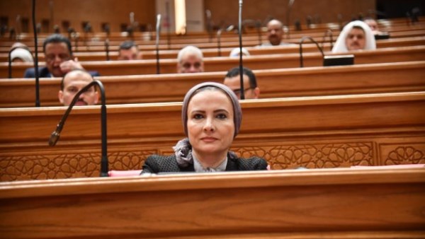 برلمانية: ظاهرة «بيع الهواء» كارثة.. ويجب التحقق من هوية القائمين عليها