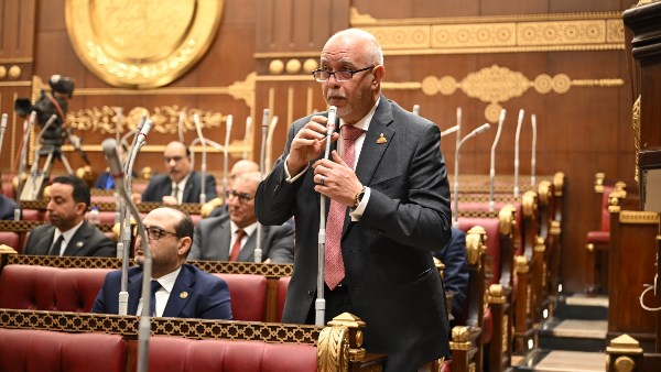 نائب: التحالف المصري الإماراتي في “الفجيرة العلمين للنفط” يعكس ثقة متبادلة