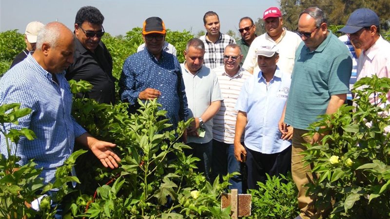 البحوث الزراعية في أسبوع، 50 نشاطًا بحثيًا وتدريبيًا ورقابيًا لدعم الأمن الغذائي وتوطين التكنولوجيا