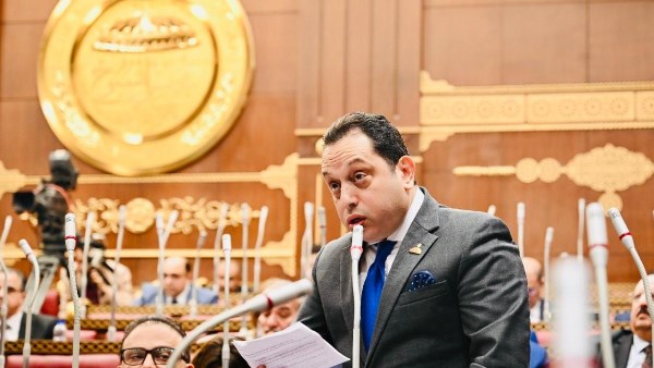 لمنع النصب والاحتيال .. تحرك برلماني لتحديث بيانات مستخدمي خطوط المحمول