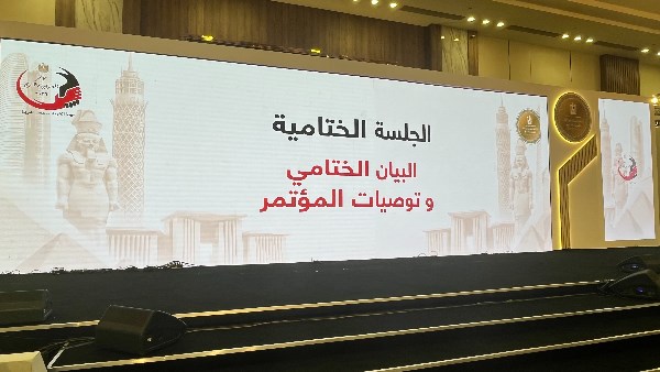 المصريون بالخارج: ندعم رؤية الرئيس السيسي ونعتز بإنجازات الدولة