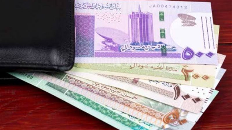 سعر الدولار مقابل الجنيه في بنك السودان المركزي مساء اليوم الأربعاء