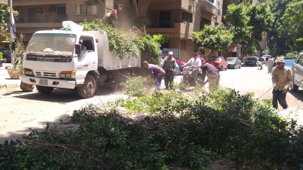 هيئة النظافة والتجميل بالجيزة تنظم حملة لتقليم الأشجار شديدة الخطورة في الدقي