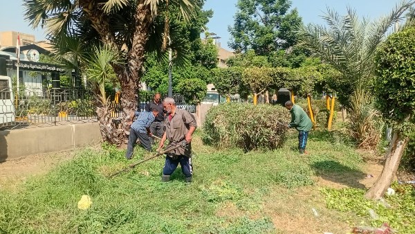 تطوير الميادين الخضراء.. نظافة الجيزة تنفذ أعمال صيانة وقص الأشجار بالعجوزة والدقي