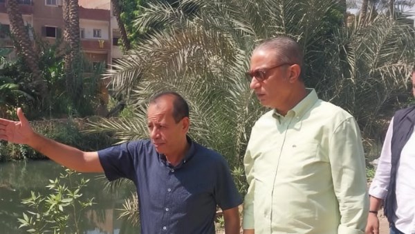 محافظ الجيزة: زراعة 3350 شجرة بأبو النمرس ضمن مبادرة «ازرع شجرة»