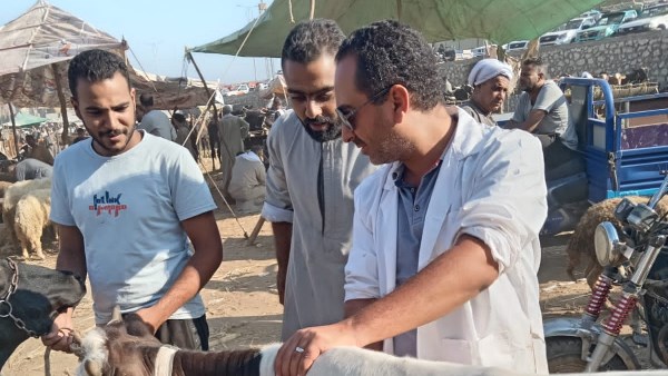 انطلاق الحملة القومية الثانية للتحصين ضد الحمى القلاعية والوادي المتصدع بالجيزة