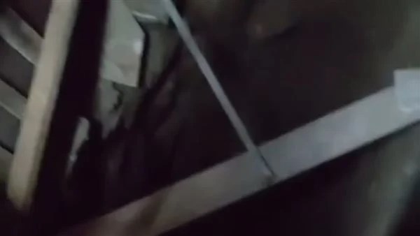 أمن المنوفية يفحص فيديو متداول لواقعة تنقيب عن الآثار بالشهداء