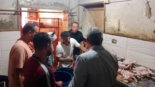 ضبط لحوم غير صالحة ببركة السبع.. وتحرير محاضر لمخالفات المخابز بالمنوفية