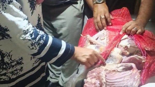 ضبط ربع طن فراخ ولحوم فاسدة في المنوفية