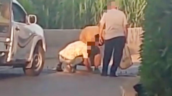 ضبط مخربي مطب الشوكة بنزلة منشأة سلطان واتخاذ إجراءات قانونية عاجلة