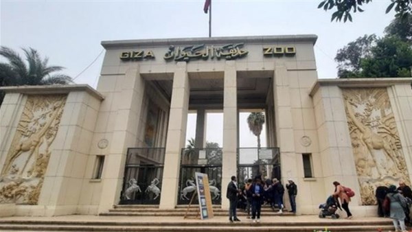 4 أسود و3 نمور.. مفاجآت حديقة الحيوان بالجيزة بعد افتتاحها | شاهد
