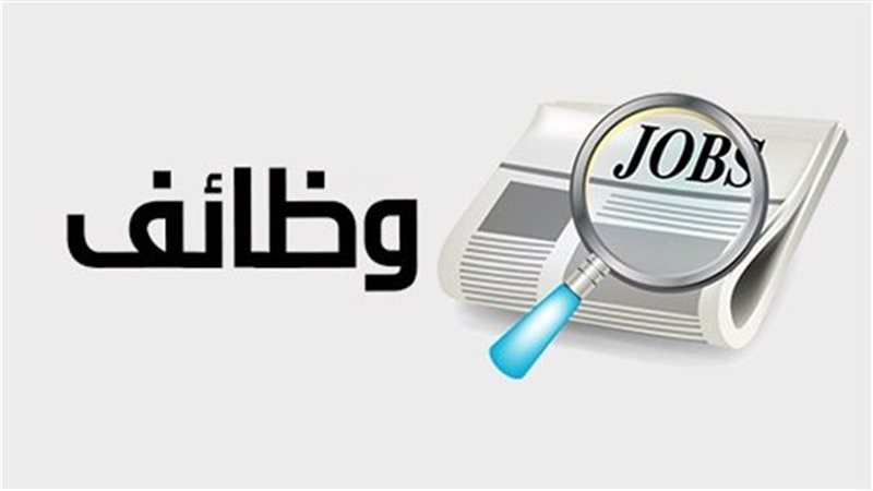 أي كلية تضمن وظيفة أسرع؟ خريطة تشغيل حديثي التخرج في مصر