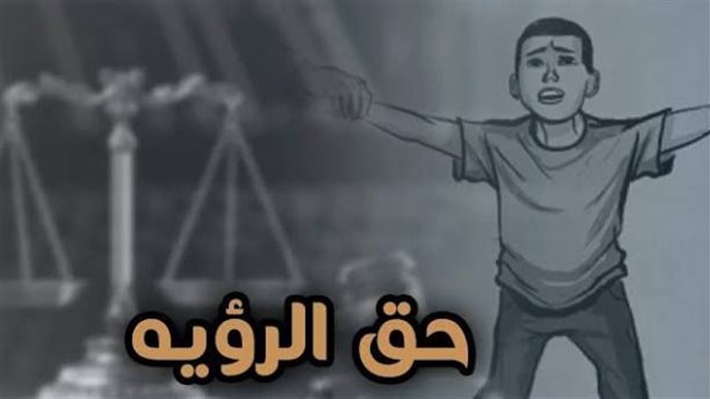 أزمة تعطيل تنفيذ أحكام الرؤية تحت قبة البرلمان، لماذا تطالب الأحزاب بكتاب دوري وتنظيم للاستضافة؟