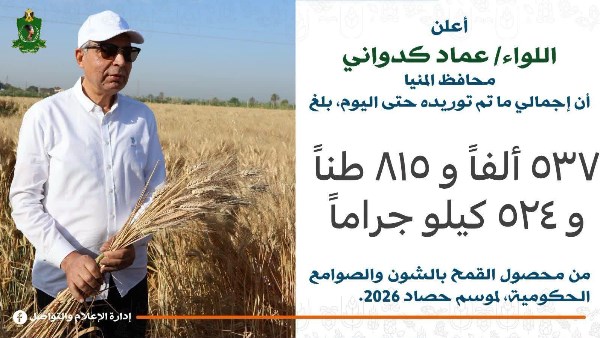 محافظ المنيا: توريد 537 ألف طن قمح.. ورقابة مشددة على المنظومة