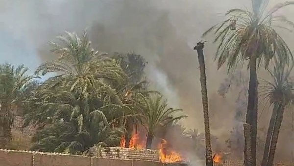 السيطرة علي حريق شب بمنطقة زراعية بالعدوة شمال المنيا
