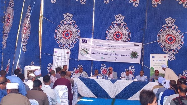 محافظ أسيوط: يوم حقلي بمنفلوط للتعريف بمحاصيل الأعلاف الخضراء