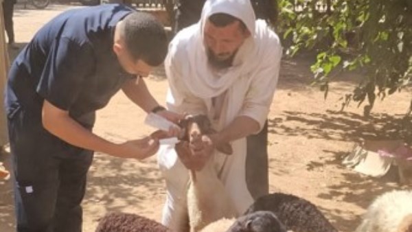 أسيوط.. 24 ألفًا و952 حالة علاجية خلال شهر ضمن القوافل البيطرية المجانية