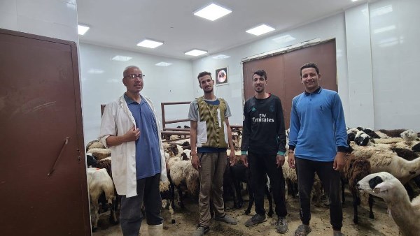 محافظ أسيوط: حملات تحصين مكثفة وندوات توعوية للوقاية من الأمراض المشتركة