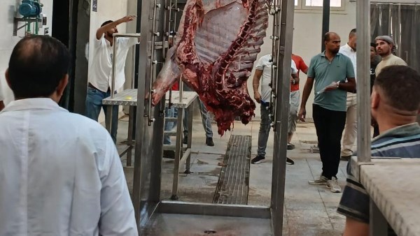 محافظ سوهاج يعلن بدء التشغيل التجريبي لمجزر أخميم