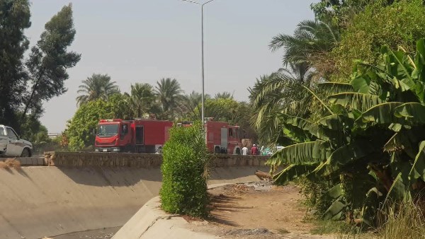 إخماد حريق بأشجار النخيل والمخلفات الزراعية على طريق المراسي بالبياضية في الأقصر