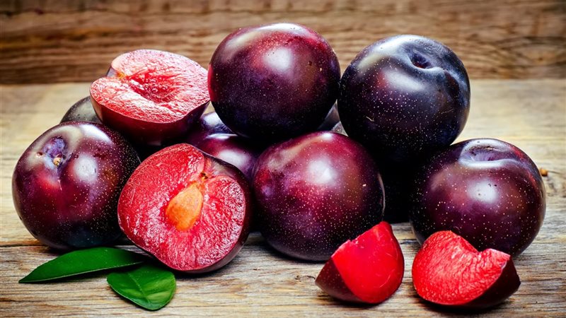 تفسير حلم أكل البرقوق في المنام وعلاقته بالحصول على مكافأة