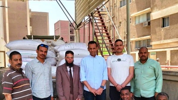 توريد 531 ألفا و 872 طن قمح بالصوامع والشون والبناكر في أسوان