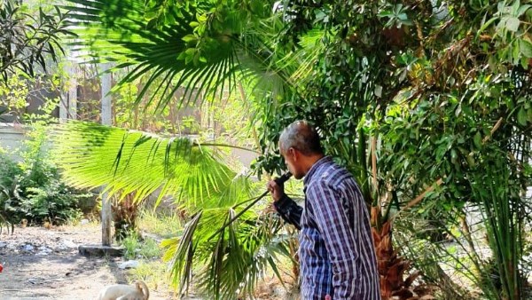 تحصين 15 كلبًا حرًا بقرية سبيل العرب بمركز كوم أمبو لمكافحة السعار