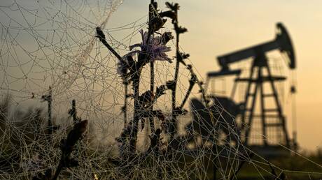 أسعار النفط تقلص مكاسبها