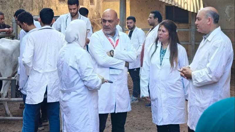 اليوم، قافلة طبية مجانية تصل أهالي قرية بالمنيا ضمن حياة كريمة