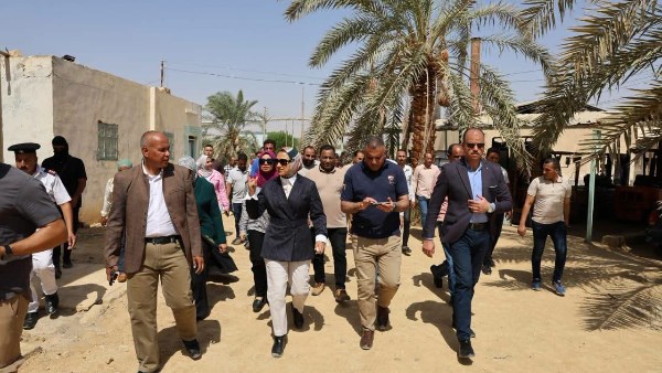جاهزية مجمع التمور لاستقبال المحصول من المزارعين بجنوب الوادي