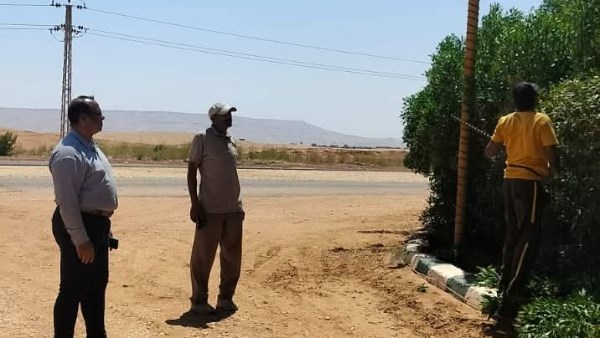 حملة لقص وتقليم الأشجار والاهتمام بالمظهر الحضاري بمركز بلاط بالوادي الجديد