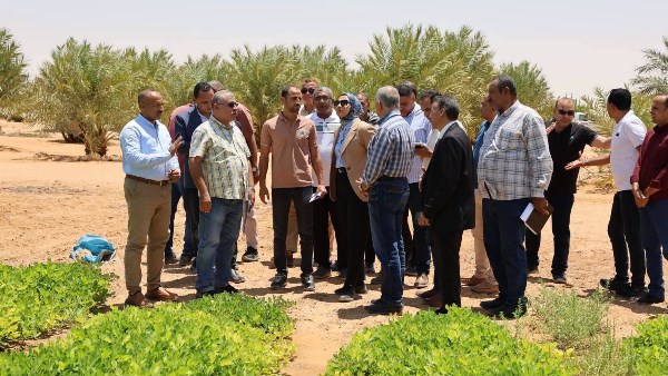 5 آلاف فدان من محاصيل التصدير.. محافظ الوادي الجديد تتفقد مشروعا للاستثمار الزراعي بالعوينات