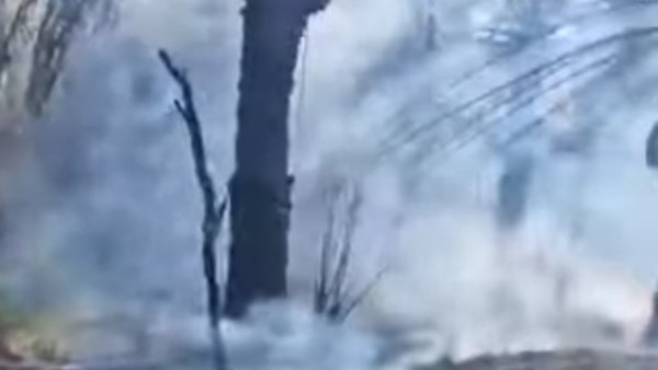 تصاعد ألسنة اللهب من مزرعة بواحة سيوة.. وتحرك للسيطرة على الحريق