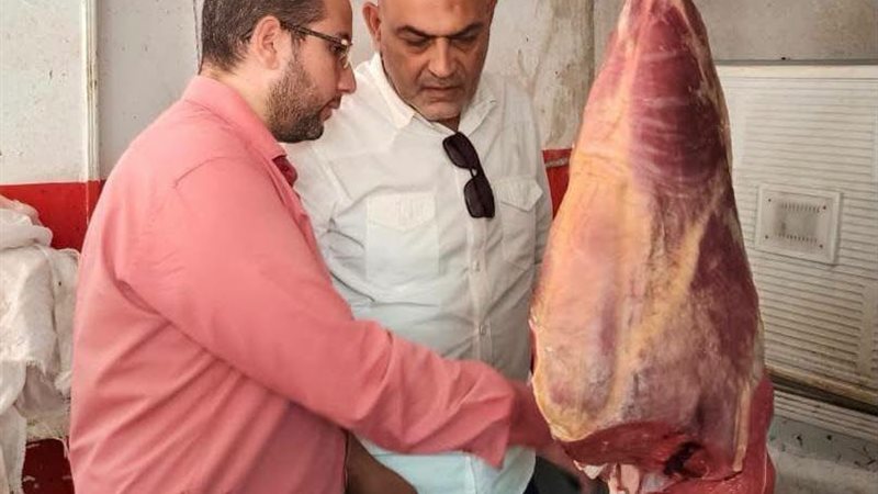 ضبط 770 كيلو لحوم مذبوحة خارج المجازر داخل ثلاجة بمدينة العبور