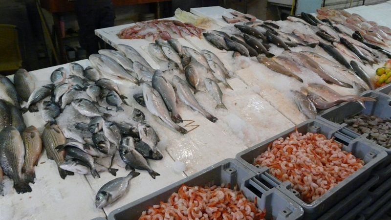 أسعار السمك اليوم، المكرونة يقفز إلى 230 جنيها والسبيط بـ 450 والبلطي يحتفظ على استقراره