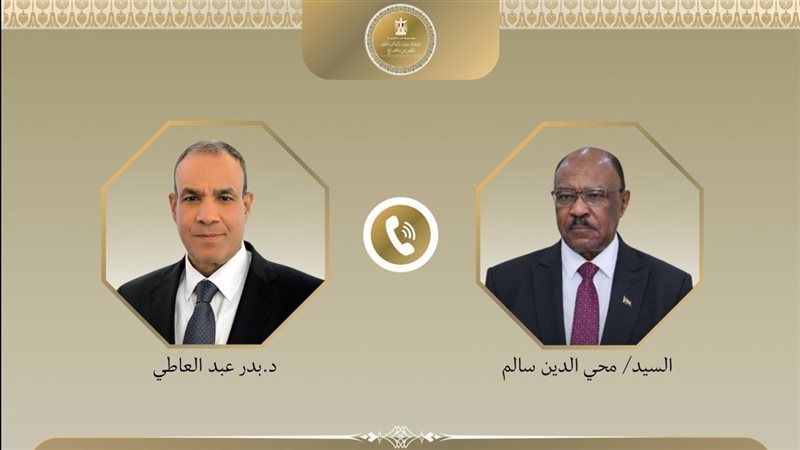 وزير الخارجية يجدد دعم مصر لوحدة السودان وسيادته ورفض أي محاولات لتقسيمه