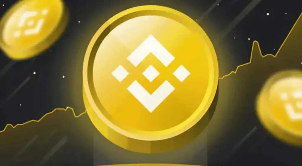 سعر بي إن بي اليوم 1 أغسطس 2026