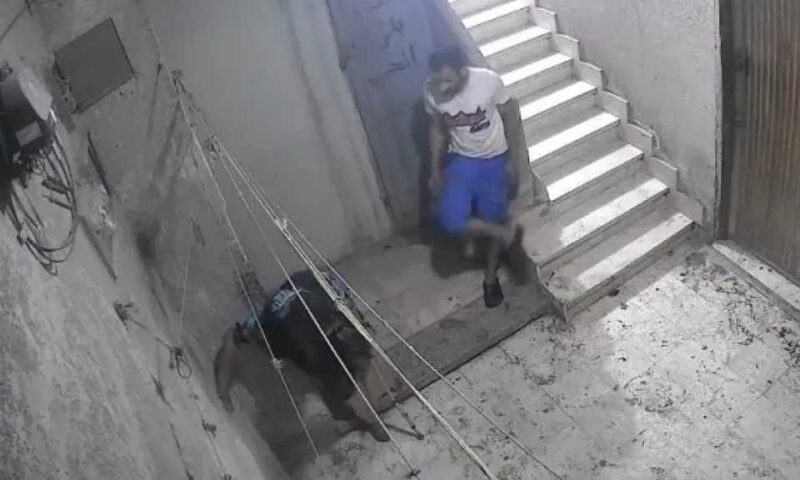 فيديو متداول لسيدة مسنة أمام منزلها يثير جدلًا واسعًا على مواقع التواصل