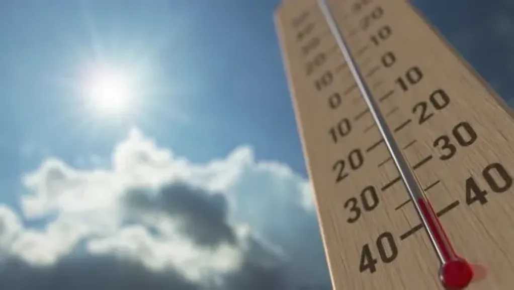 الطقس غدًا السبت 8 أغسطس 2026.. انخفاض الحرارة وشبورة ورياح على عدة مناطق