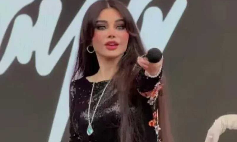 هيفاء وهبي تتألق في حفلها بالسويد وتستعد لجولة غنائية جديدة