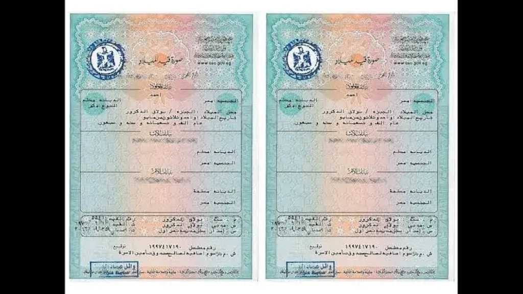 استخراج شهادة ميلاد مميكنة: الخطوات والأوراق