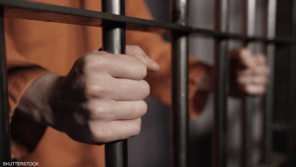 القبض على شخص يدير كيانا تعليميا وهميا بمدينة نصر