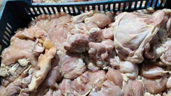 ضبط 1.5 طن دواجن وأجزائها غير صالحة للاستهلاك الآدمي في قليوب