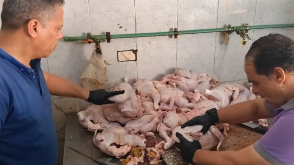 شاهد.. قبضة رقابية على أسواق الغربية.. ضبط 17 طنا و896 كجم وتحرير 109 محاضر لمخالفات الأغذية ذات الأصل الحيواني خلال أغسطس.. صور