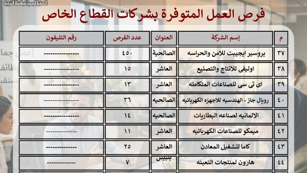 الشرقية تعلن توفير 4 آلاف و 934 فرصة عمل بـ ٥١ مصنعا وشركة