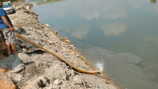 إنزال 550 ألف زريعة أسماك ببحر أبو الأخضر وترعة الإسماعيلية بالشرقية